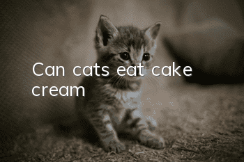 Can cats eat cake cream?