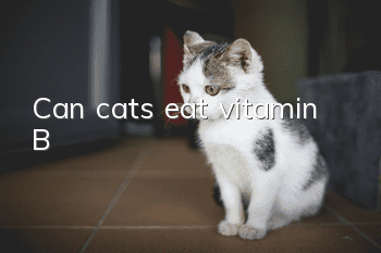 Can cats eat vitamin B?