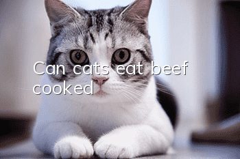 Can cats eat beef, cooked?