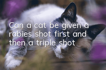 Can a cat be given a rabies shot first and then a triple shot?
