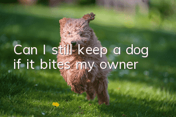 Can I still keep a dog if it bites my owner?