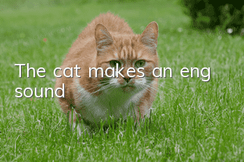The cat makes an eng sound