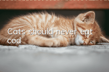 Cats should never eat cod