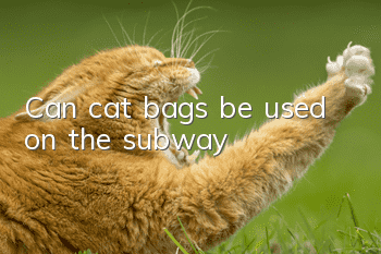 Can cat bags be used on the subway?