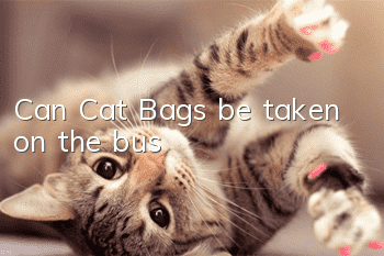 Can Cat Bags be taken on the bus?