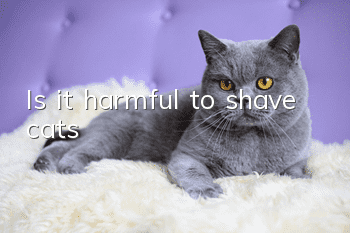 Is it harmful to shave cats?