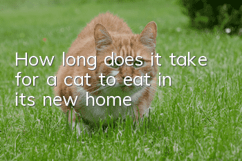 How long does it take for a cat to eat in its new home?