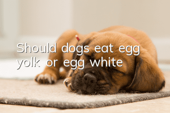 Should dogs eat egg yolk or egg white?