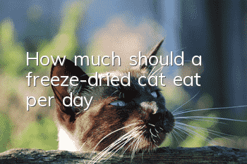How much should a freeze-dried cat eat per day?