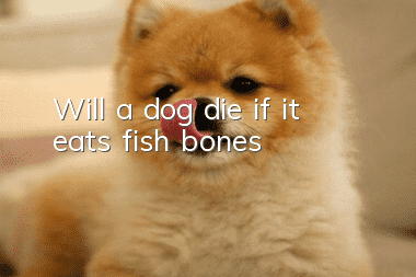 Will a dog die if it eats fish bones?