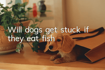 Will dogs get stuck if they eat fish?
