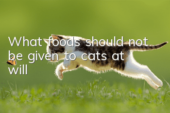 What foods should not be given to cats at will?