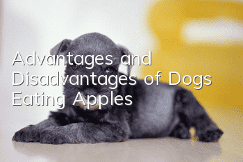 Advantages and Disadvantages of Dogs Eating Apples