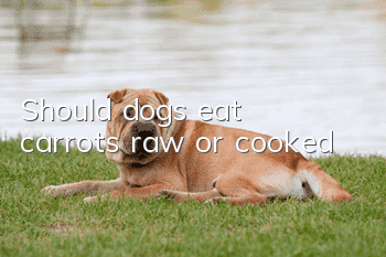 Should dogs eat carrots raw or cooked?