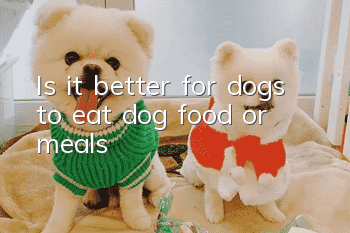 Is it better for dogs to eat dog food or meals?