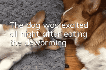 The dog was excited all night after eating the deworming