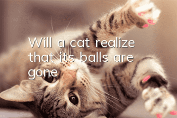 Will a cat realize that its balls are gone?