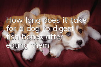 How long does it take for a dog to digest fish bones after eating them?