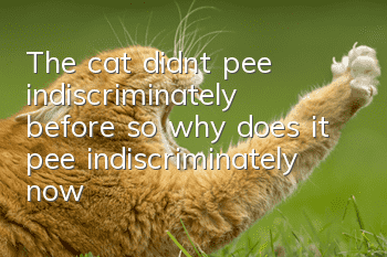 The cat didn’t pee indiscriminately before, so why does it pee indiscriminately now?