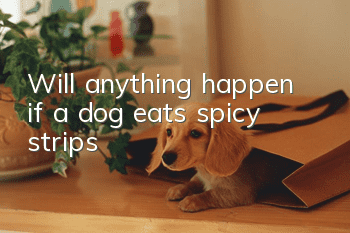 Will anything happen if a dog eats spicy strips?