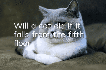 Will a cat die if it falls from the fifth floor?