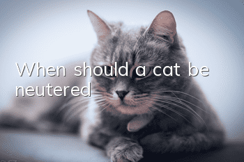 When should a cat be neutered?