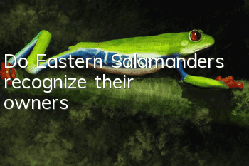 Do Eastern Salamanders recognize their owners?