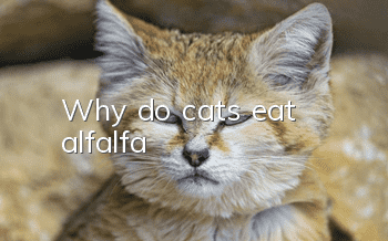 Why do cats eat alfalfa?