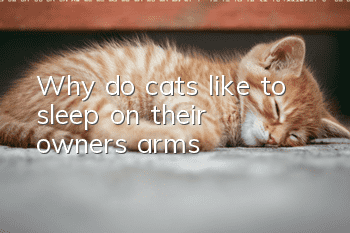 Why do cats like to sleep on their owners’ arms?