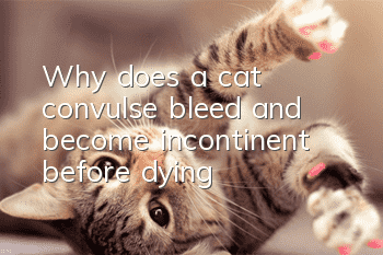 Why does a cat convulse, bleed and become incontinent before dying?