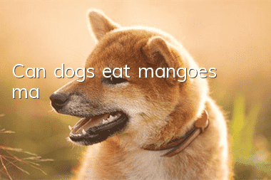 Can dogs eat mangoes (ma)
