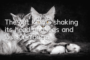 The cat keeps shaking its head and legs and loses balance.