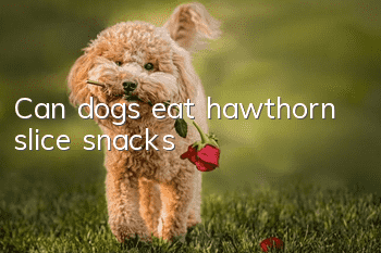 Can dogs eat hawthorn slice snacks?