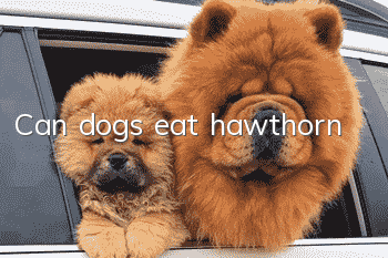 Can dogs eat hawthorn?