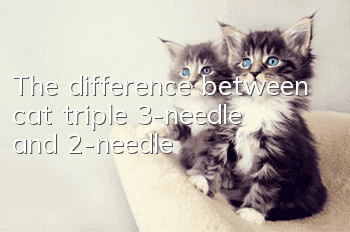 The difference between cat triple 3-needle and 2-needle