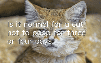 Is it normal for a cat not to poop for three or four days?