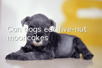Can dogs eat five-nut mooncakes?