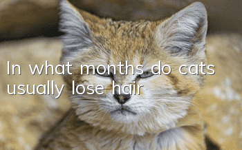 In what months do cats usually lose hair?