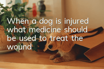 When a dog is injured, what medicine should be used to treat the wound?