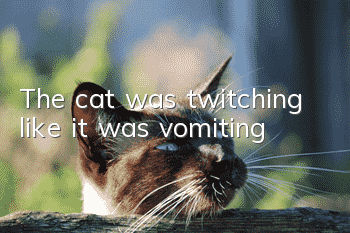 The cat was twitching like it was vomiting