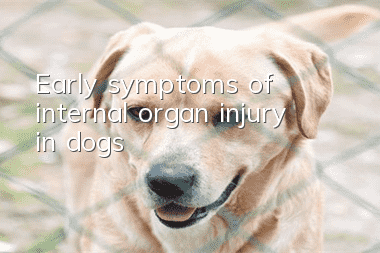 Early symptoms of internal organ injury in dogs
