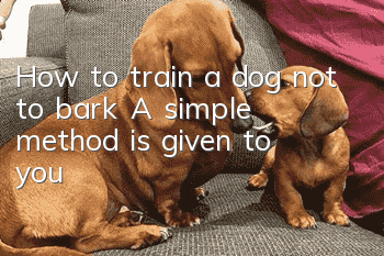 How to train a dog not to bark? A simple method is given to you!