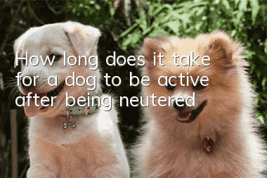 How long does it take for a dog to be active after being neutered?