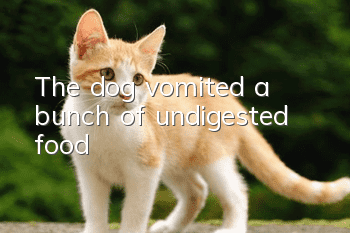 The dog vomited a bunch of undigested food