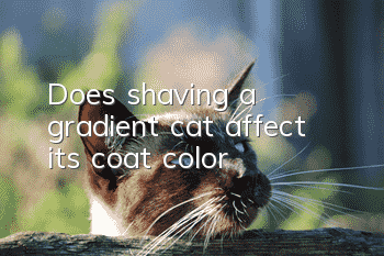 Does shaving a gradient cat affect its coat color?