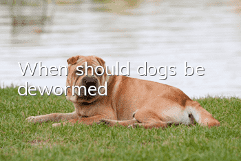 When should dogs be dewormed?
