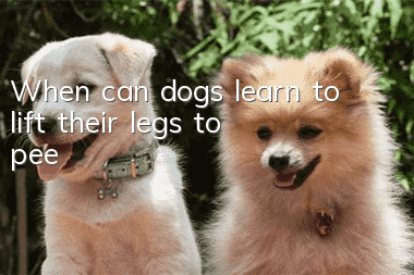 When can dogs learn to lift their legs to pee?