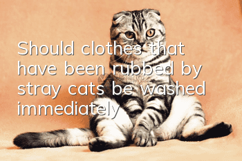 Should clothes that have been rubbed by stray cats be washed immediately?