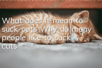 What does it mean to suck cats? Why do many people like to suck cats?