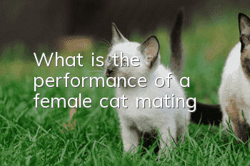 What is the performance of a female cat mating?